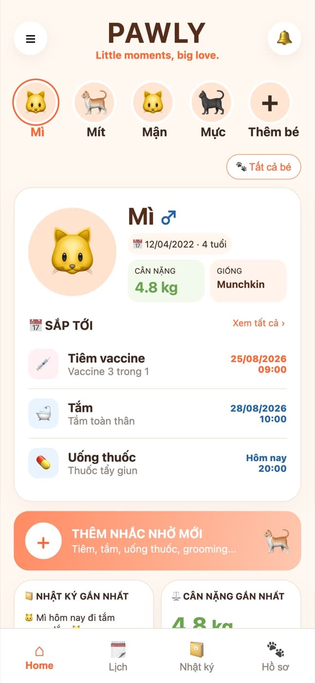 Pawly: giao diện thật của ứng dụng